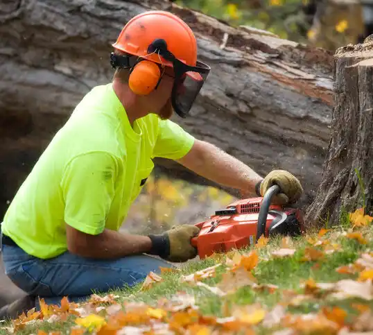 tree services Oak Island